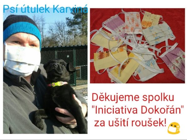 Ošetřovatel s jedním s pejsků z útulku a darované roušky