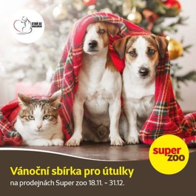 Pejsci a kočky se těší na vánoční sbírku pro útulky