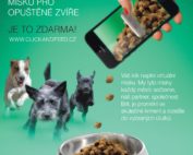 Click and feed - Naplňte každý den misku pro opuštěné zvíře
