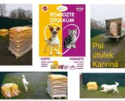 Pomozte útulkům - sbírka pro Psí útulek