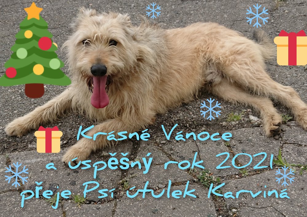 přání - vánoce