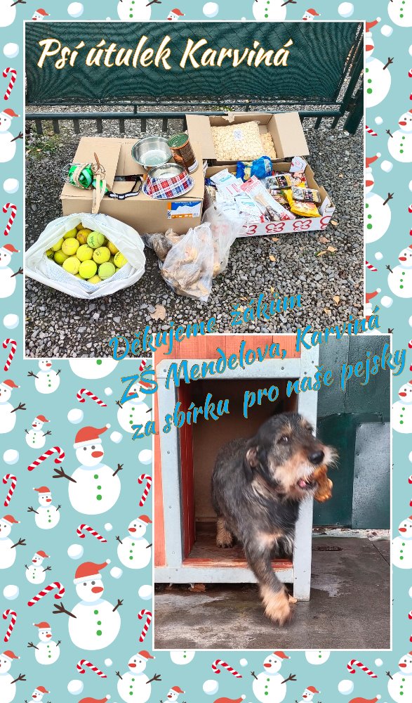 Sbírka pro naše pejsky