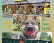 Dar Super Zoo - foto prodejny a Psího útulku